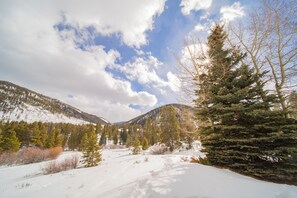 A snowy landscape with mountains, trees, and a clear sky.