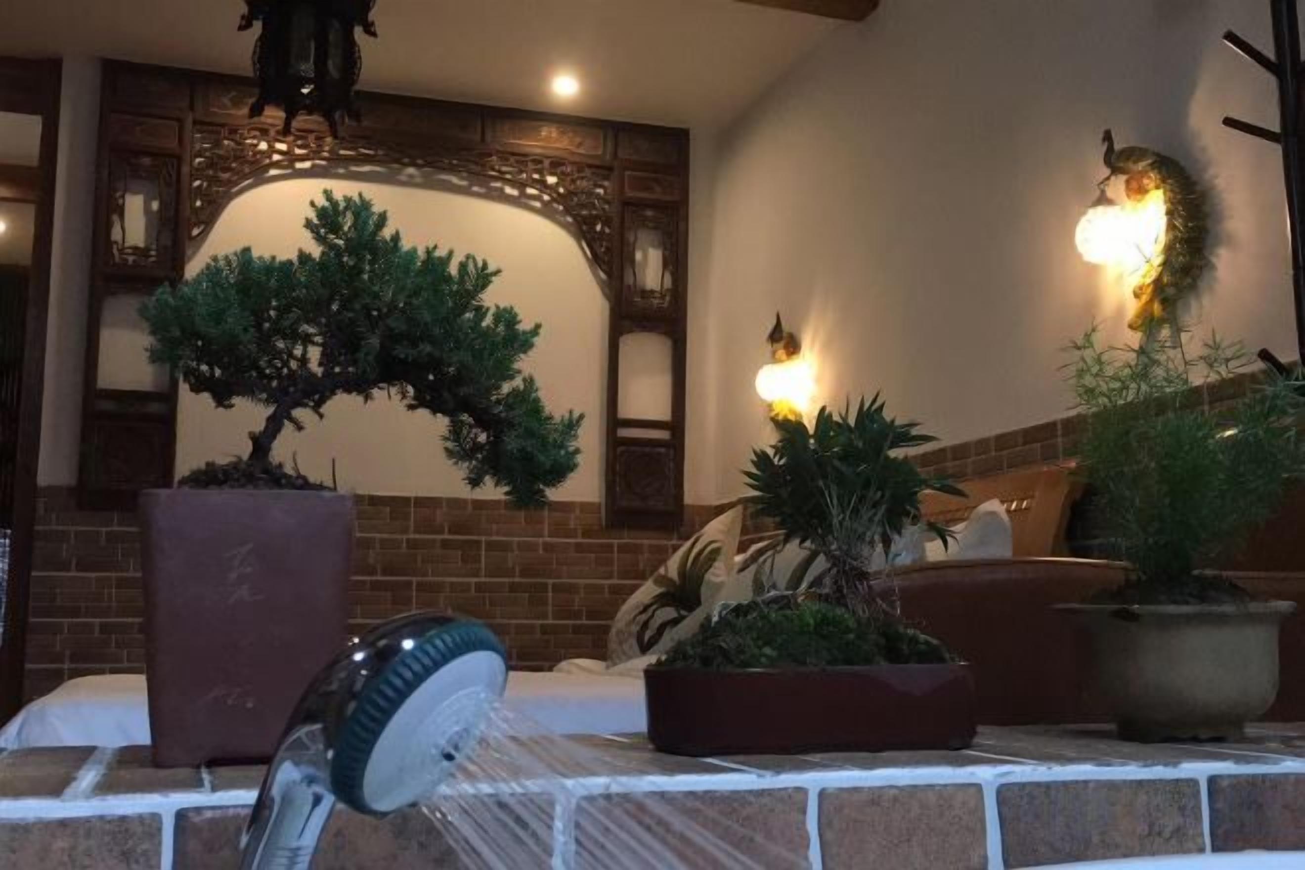 A room with a brick fireplace, potted plants, and a decorative wall.