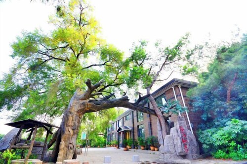 Tianzi Lake Ecological Resort