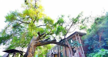 Tianzi Lake Ecological Resort