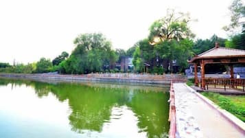 Área da propriedade