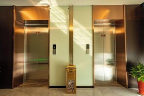 Un ascensor con detalles metálicos, un panel de control y una planta en maceta a la derecha.