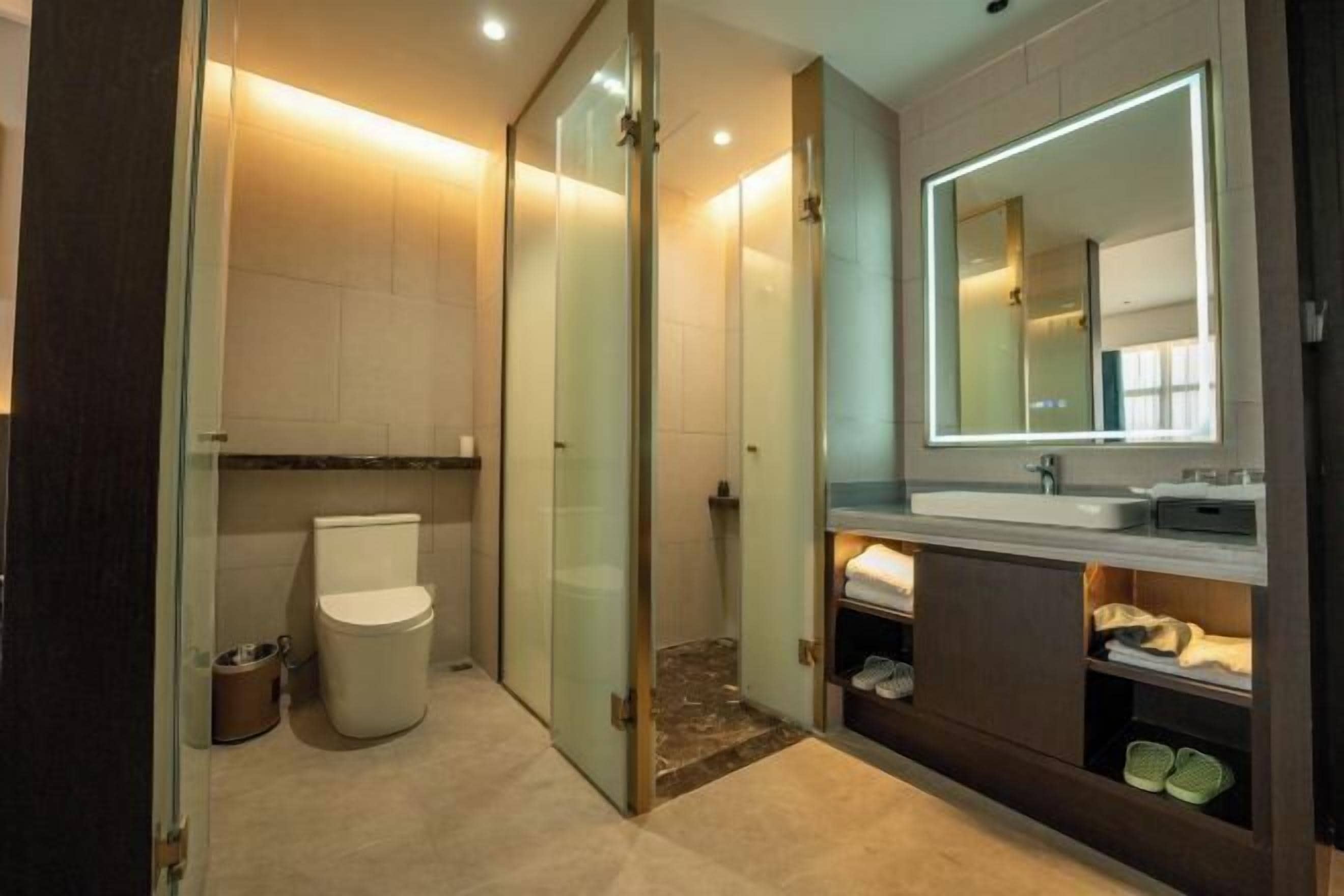 A modern bathroom with a glass shower enclosure, a toilet, a vanity with a mirror, and a sink.