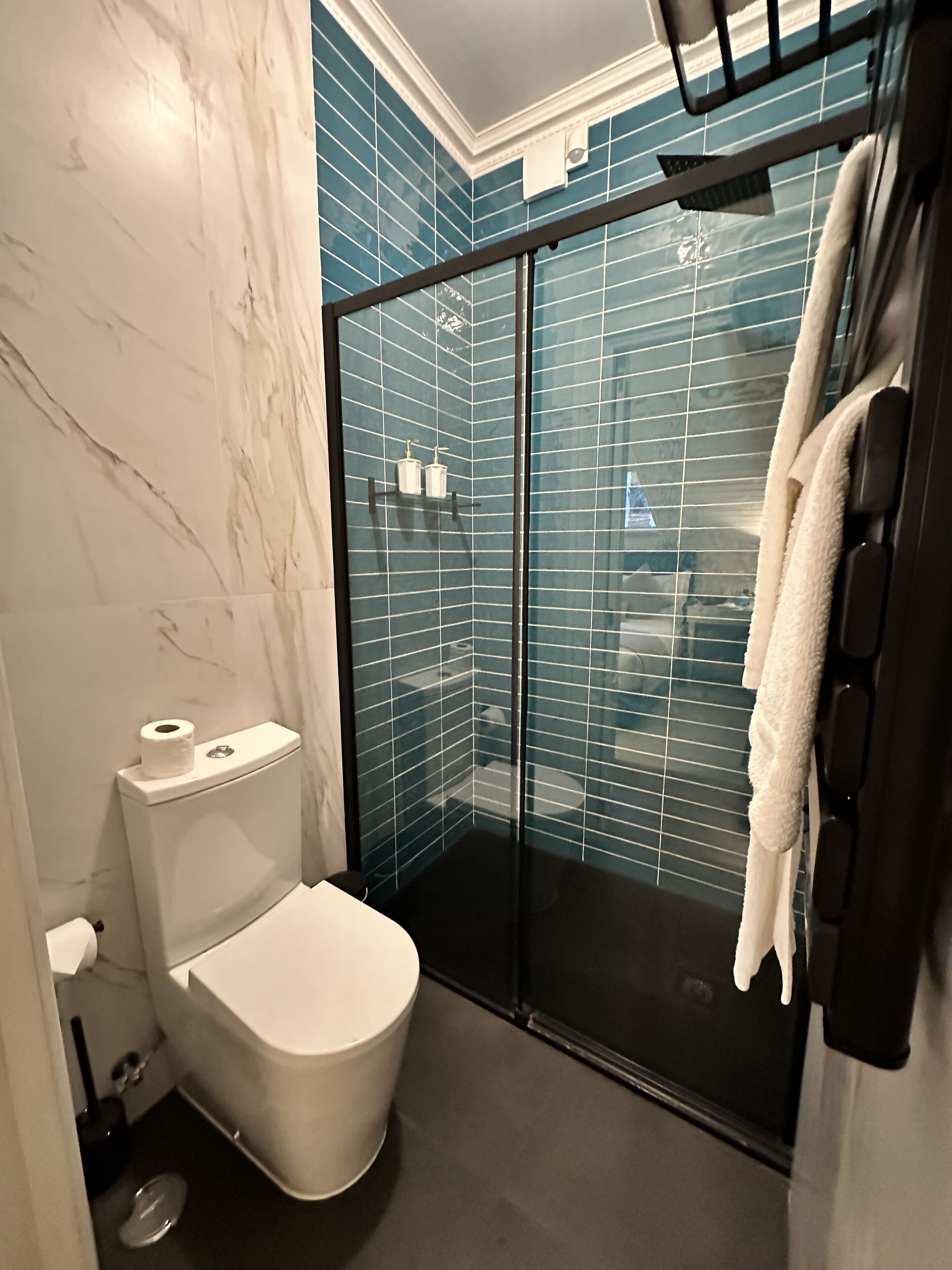 Une salle de bain équipée de toilettes, d’une douche à parois de verre et d’un porte-serviettes.