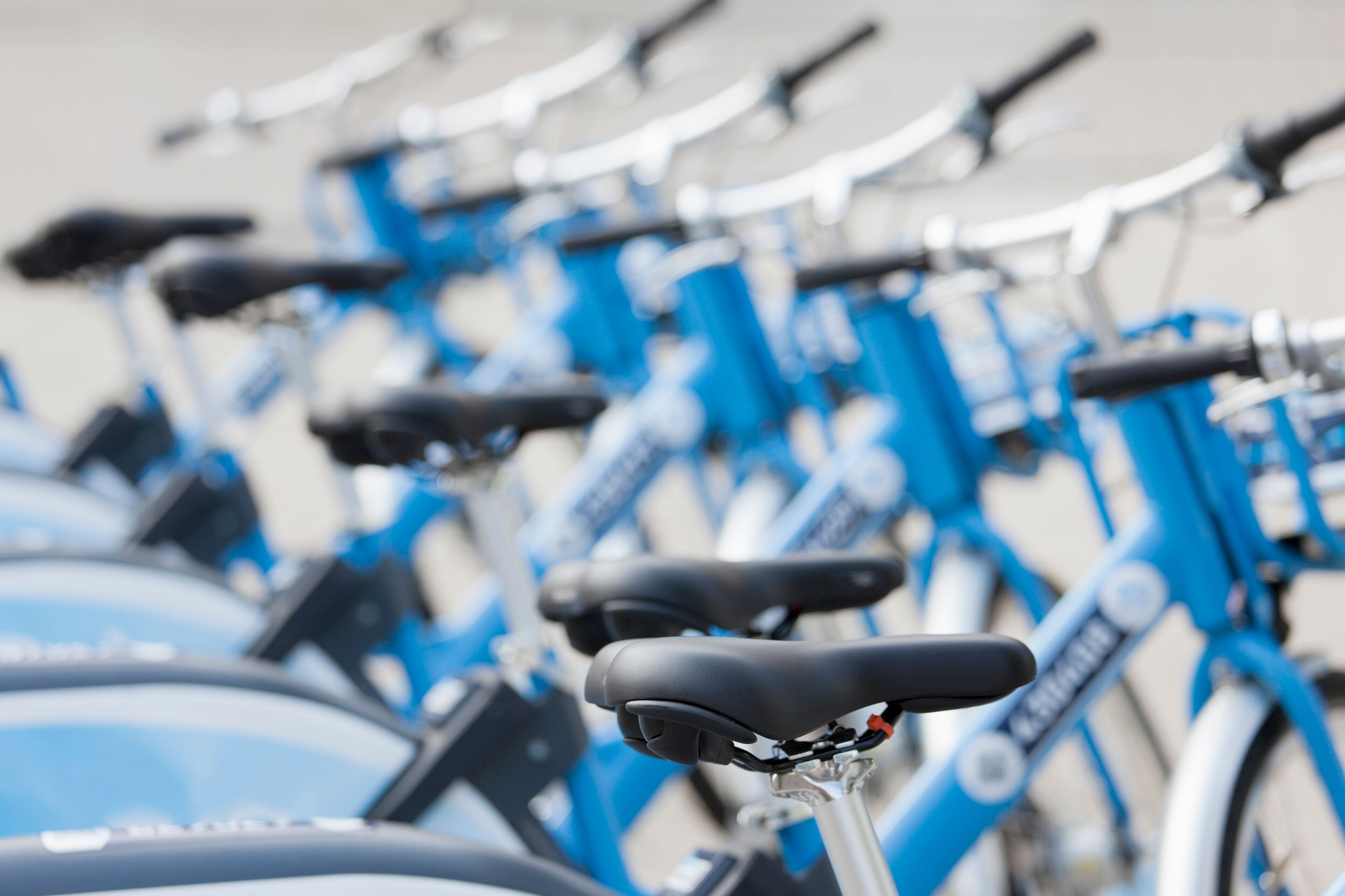 Foto - Storytellers Palace