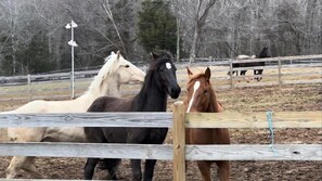 1 dormitorio, wifi, ropa de cama