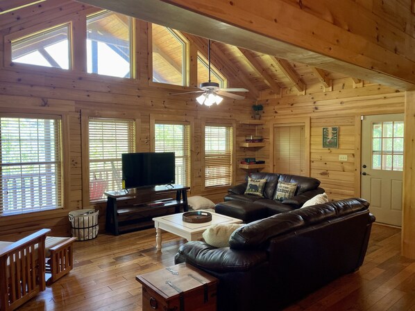 Smart TV, fireplace, books