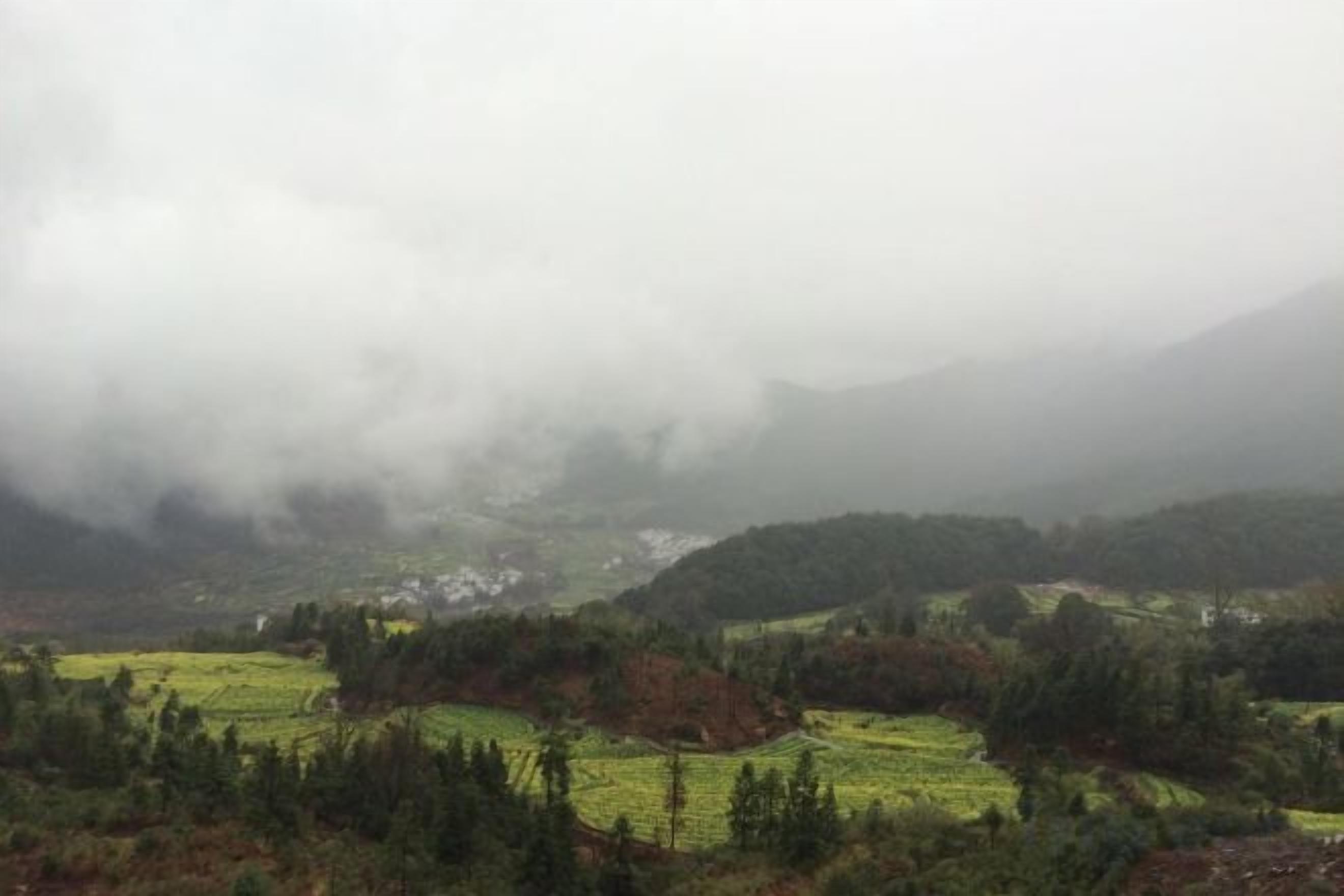 A mountainous landscape with fields and trees.