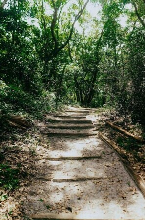 Property grounds - 1st Floor, 2BR condo, path to beach, Amelia Island (Fernandina Beach)