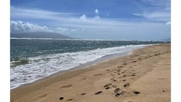 Espreguiçadeiras, toalhas de praia