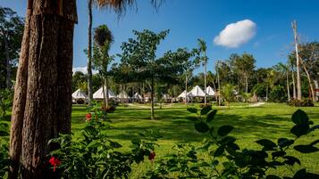 A lush garden with a large tree trunk, a grassy lawn, and several white tents in the background.