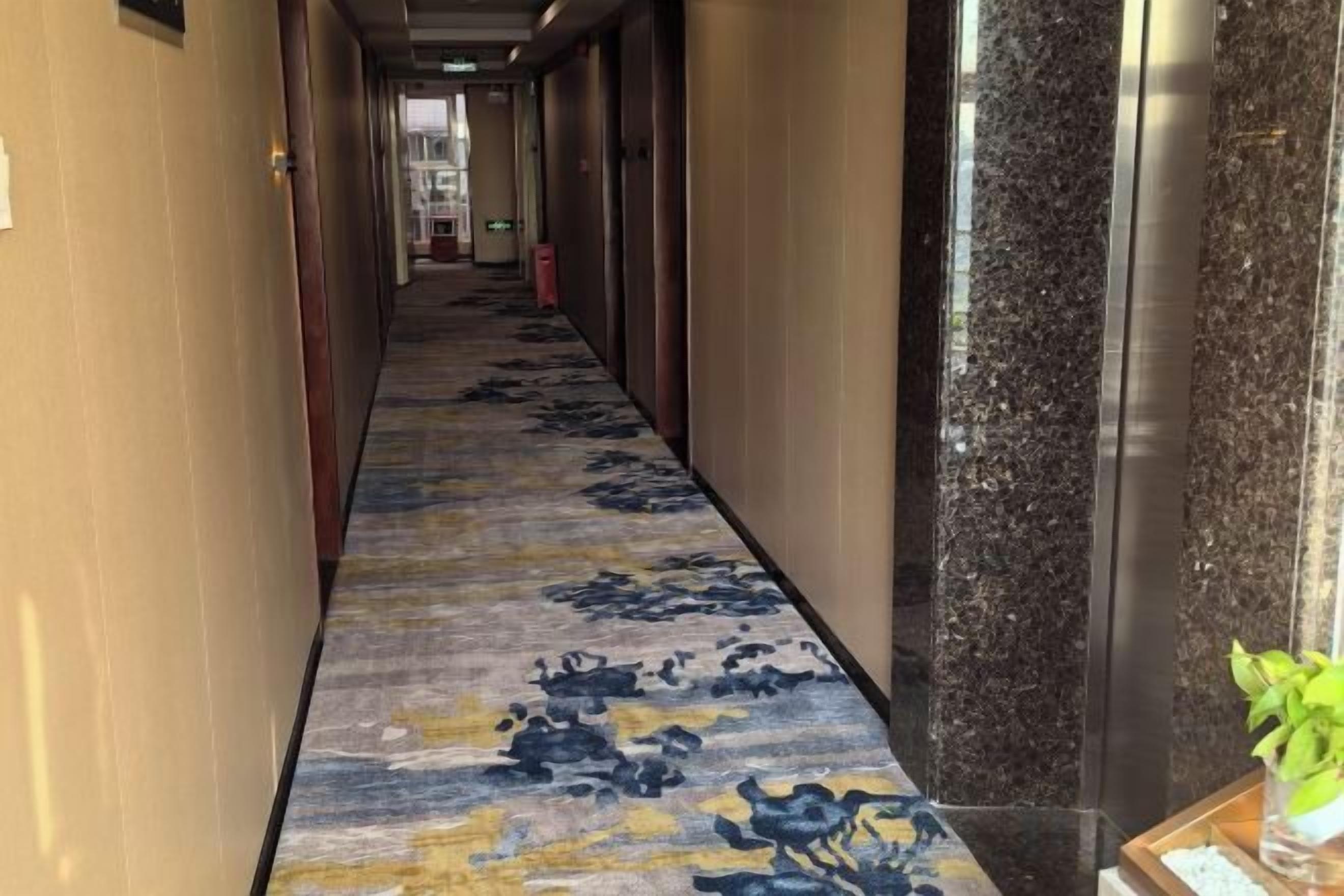 A hotel corridor with a carpeted floor, doors on both sides, and a plant on the right.