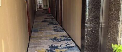 A hotel corridor with a carpeted floor, doors on both sides, and a plant on the right.