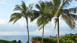 Un cadre tropical avec des palmiers, un hamac et des chaises donnant sur l’océan.