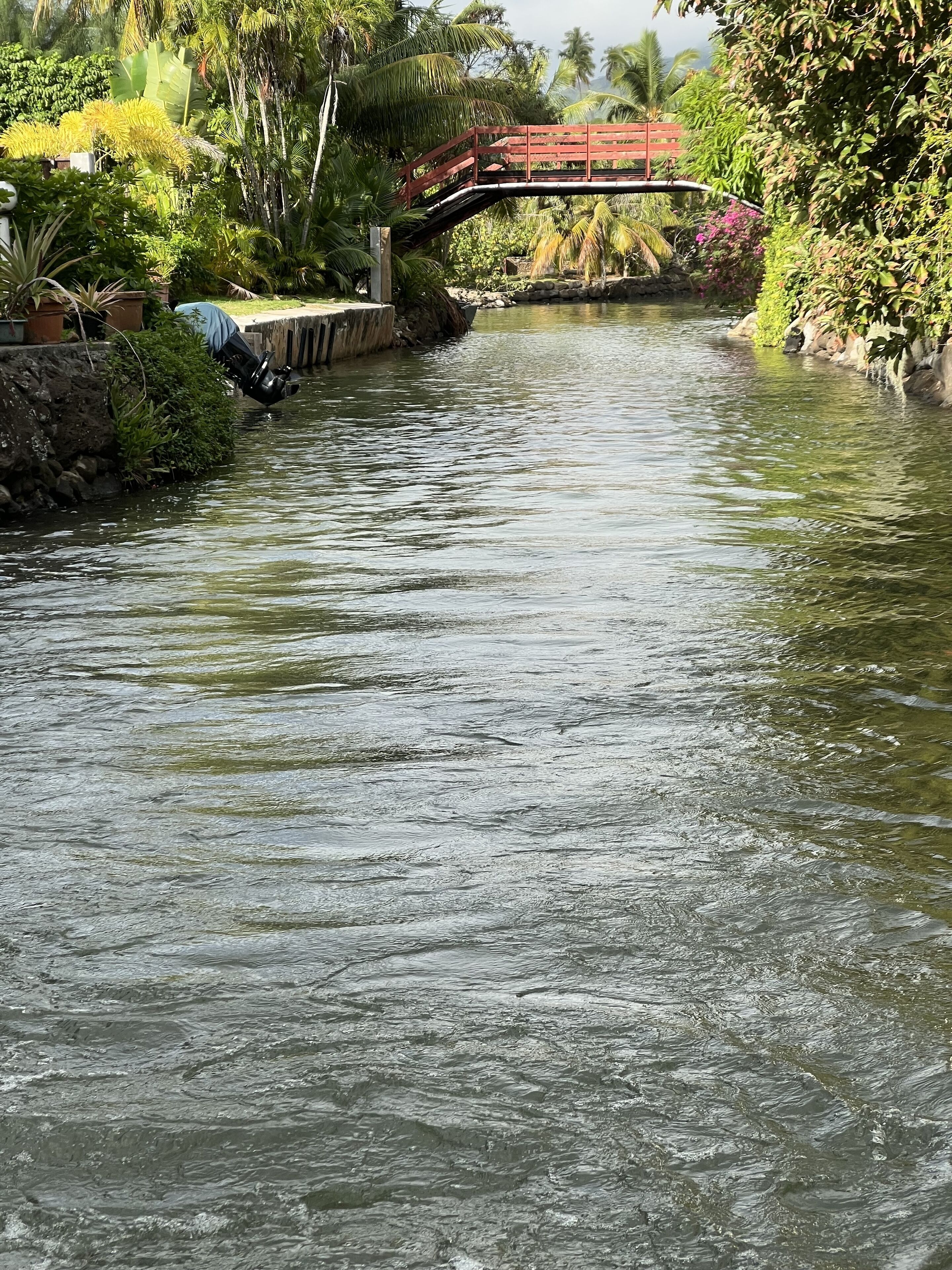 A river with a wooden bridge and lush greenery.