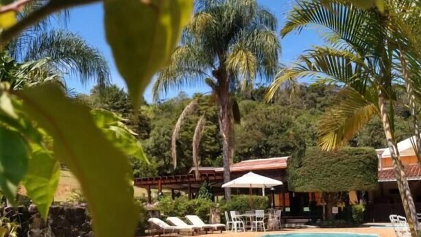 A swimming pool with lounge chairs and a covered seating area, surrounded by palm trees and greenery. - Pousada Realeza (Atibaia)