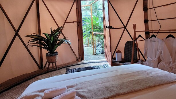 A room with a bed, towels, a potted plant, and a view of the outdoors.