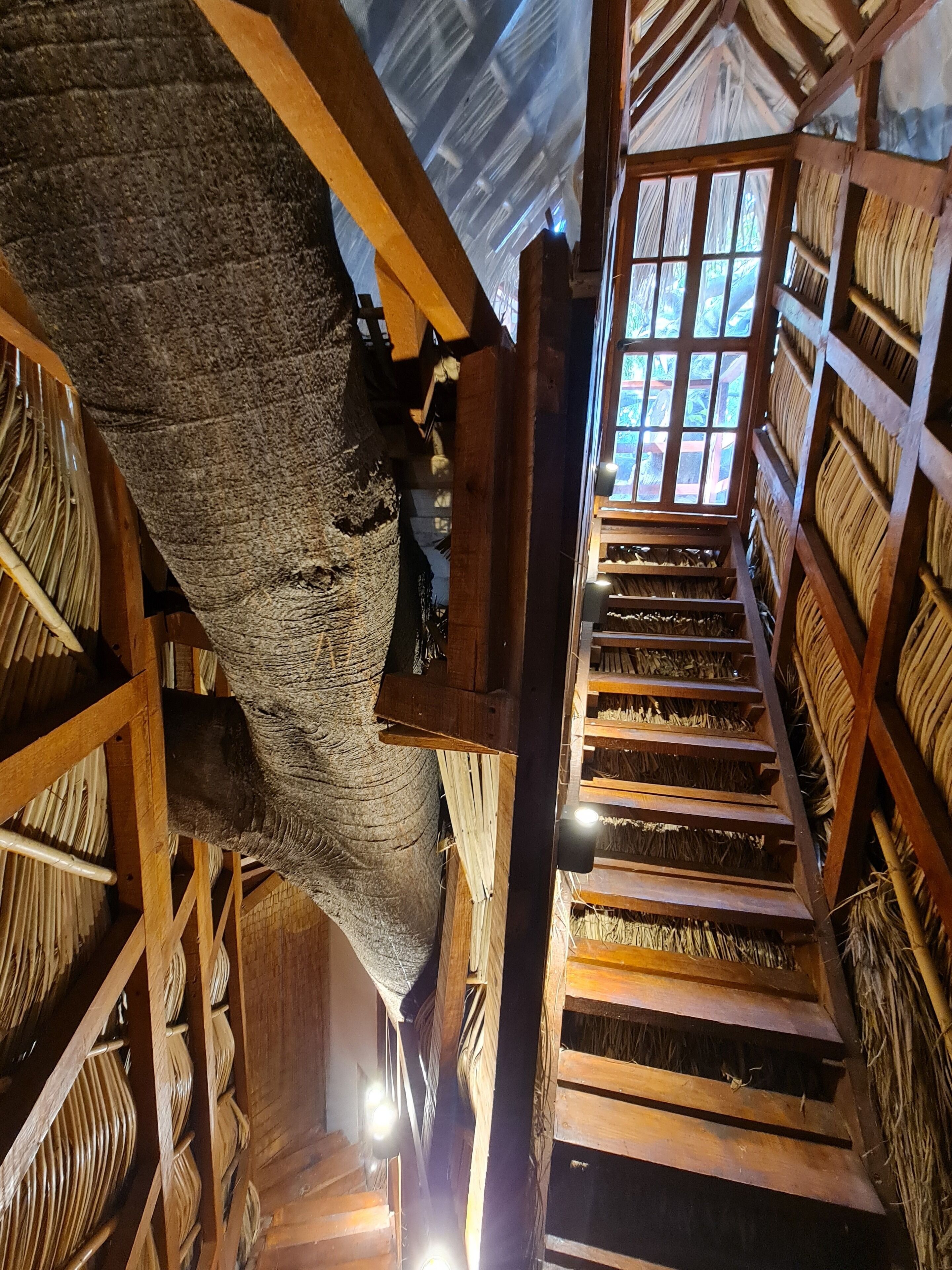 Casa de árbol Deluxe | Área de sala de estar