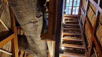 Deluxe Tree House | Living area