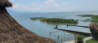 Nido Ecoluxury Treehouse - Casa de Arbol