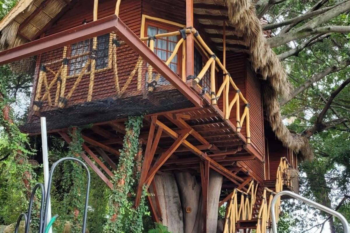 Deluxe Tree House | Free WiFi