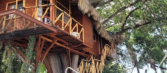Nido Ecoluxury Treehouse - Casa de Arbol