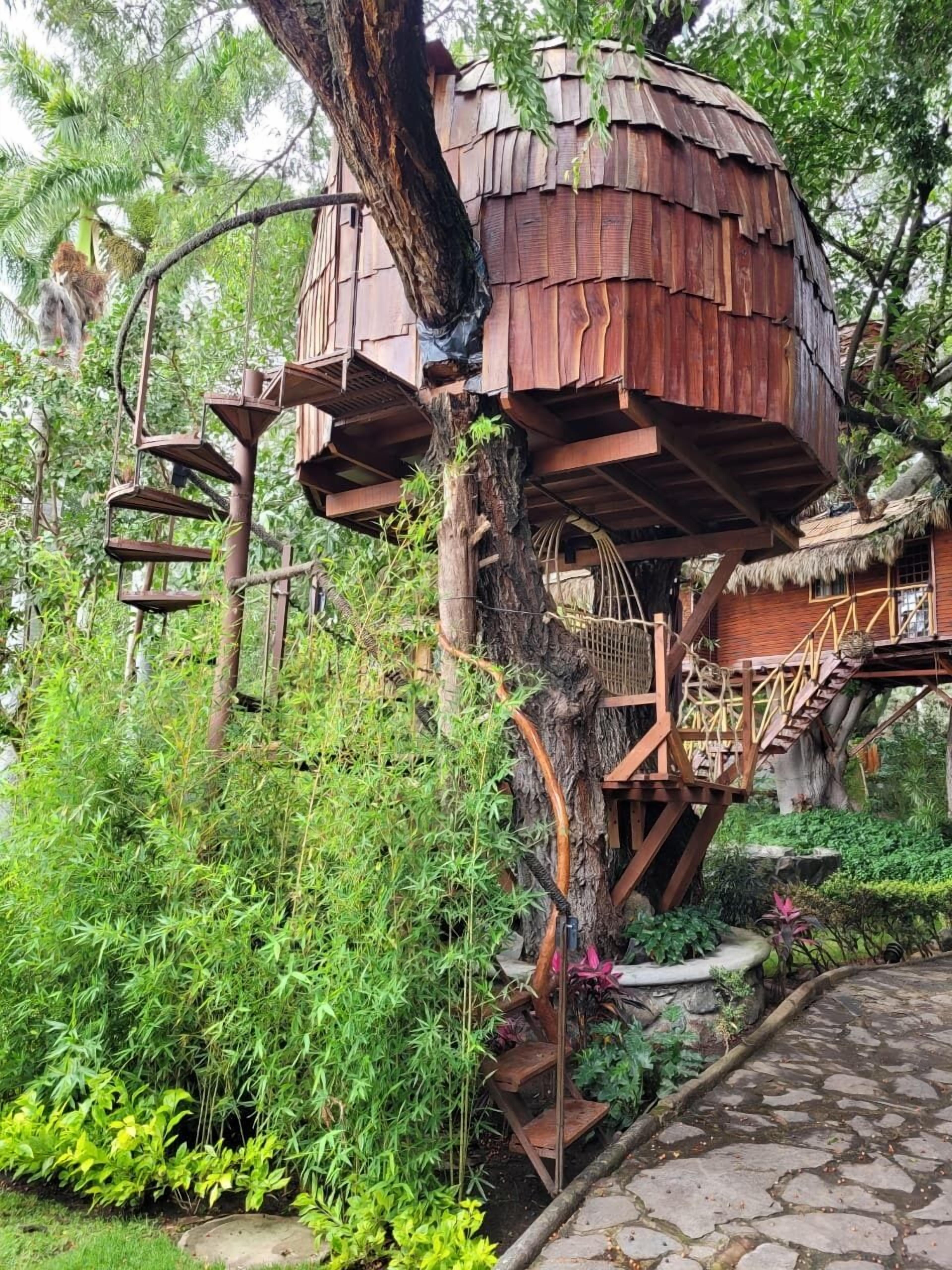 Design Tree House