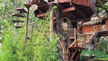 Design Tree House | Free WiFi