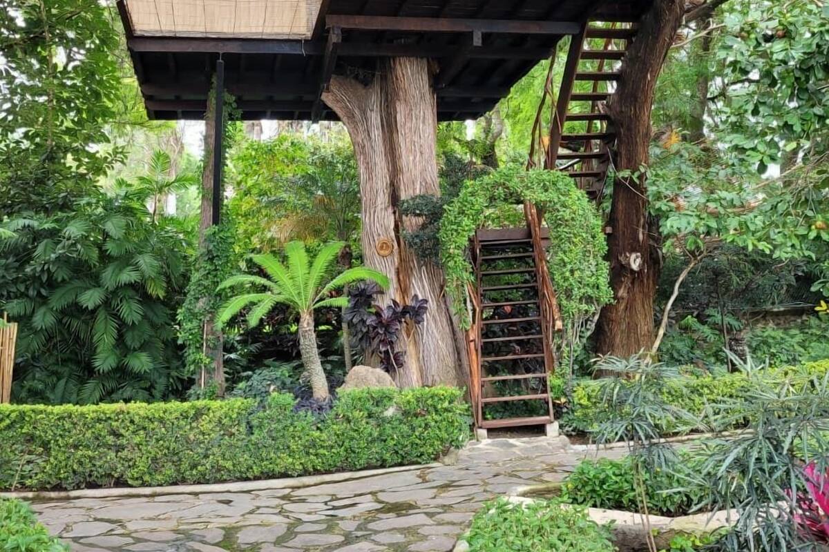 Comfort Tree House | Free WiFi