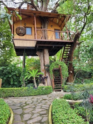 Comfort Tree House | Free WiFi - Nido Ecoluxury Treehouse - Casa de Arbol (Tuxcueca)