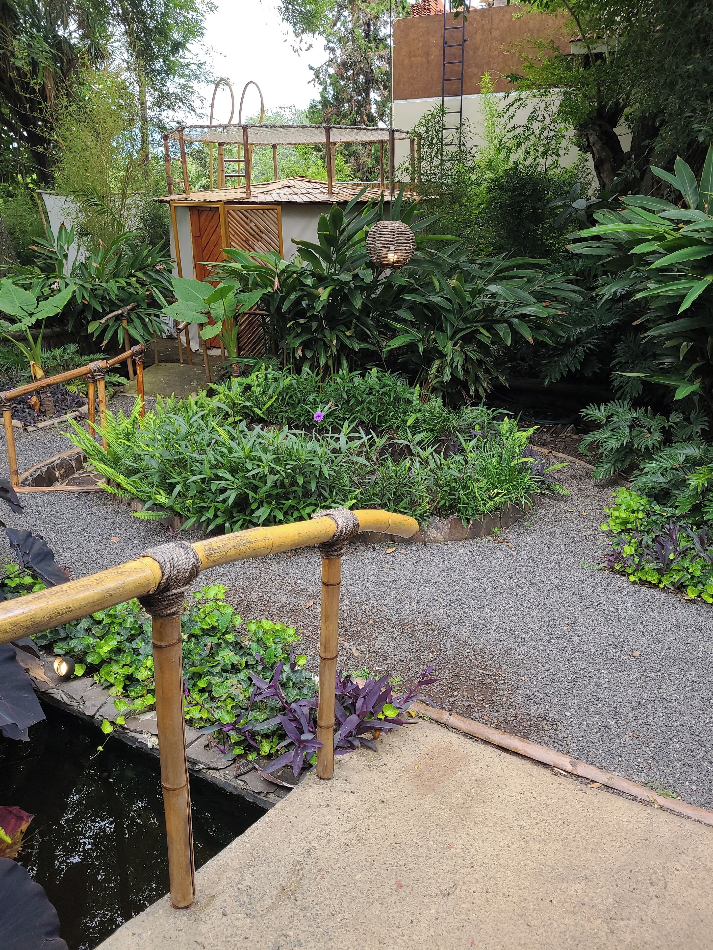 A garden with a bamboo fence, a small pond, and various plants.
