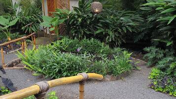 A garden with a bamboo fence, a small pond, and various plants.