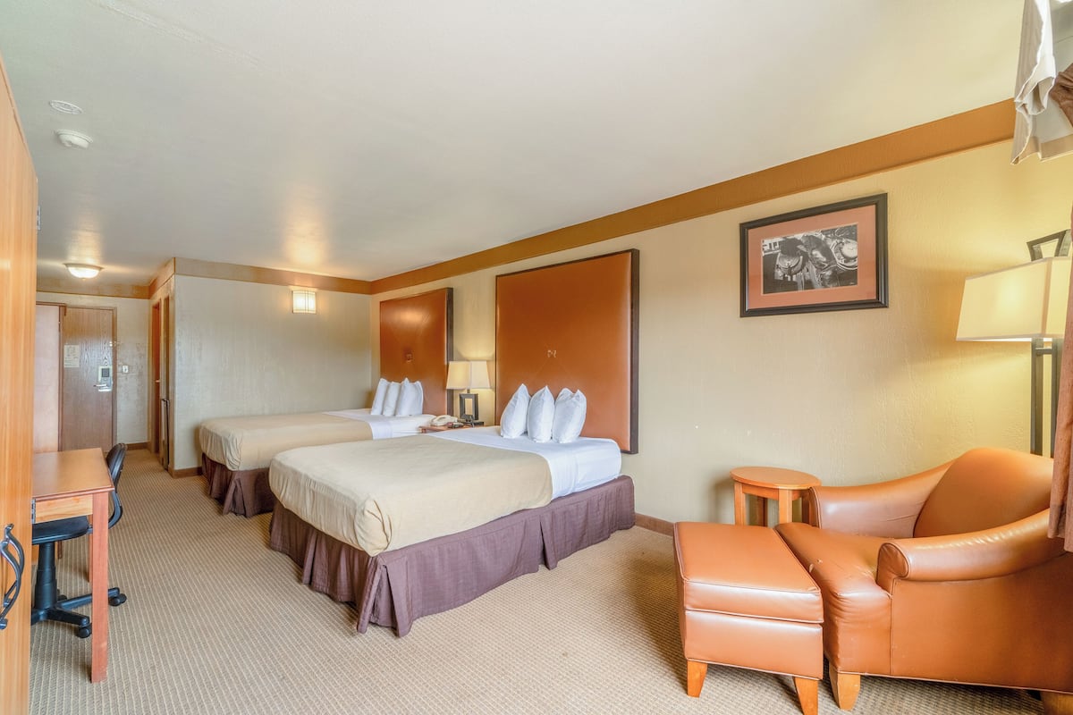 1 chambre, fer et planche à repasser