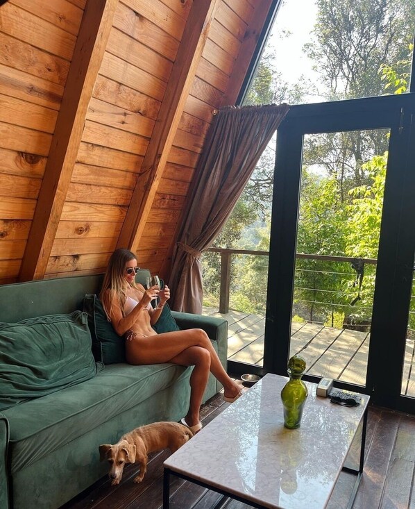 Chalet | Wohnbereich | 55-Zoll-Smart-TV mit Digitalempfang, Fernseher