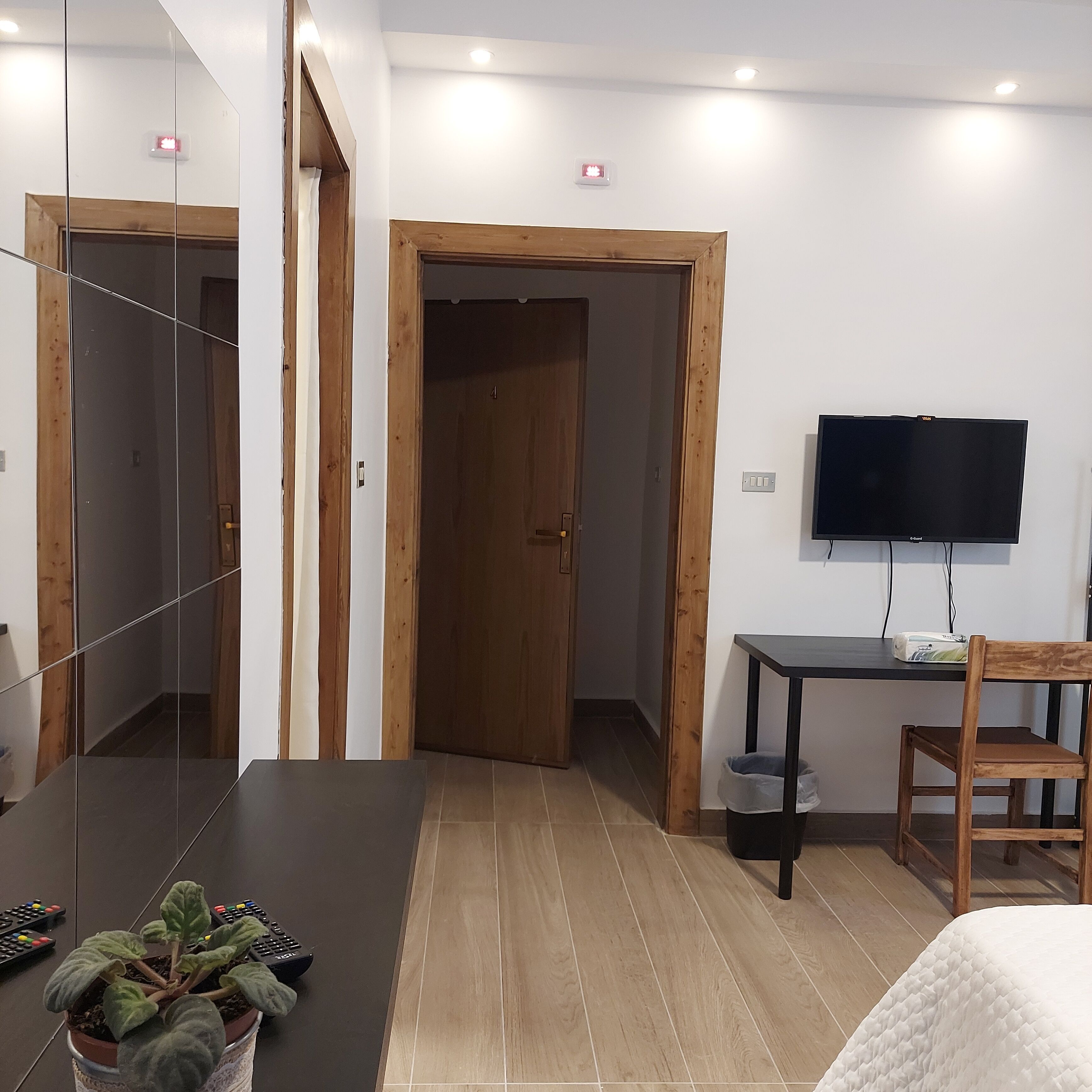 A hotel room with a wooden door, a TV mounted on the wall, a small table with a chair, and a potted plant.