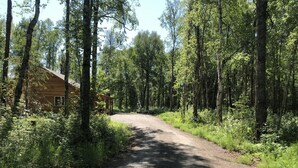En grusväg leder fram till en stuga av trä, som är omgiven av en tät skog.