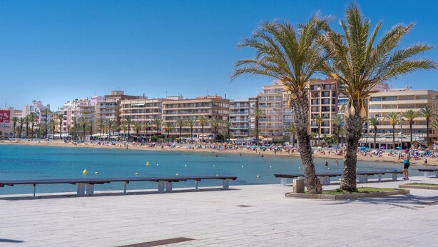 A beachfront promenade with palm trees, benches, and a clear blue sky.