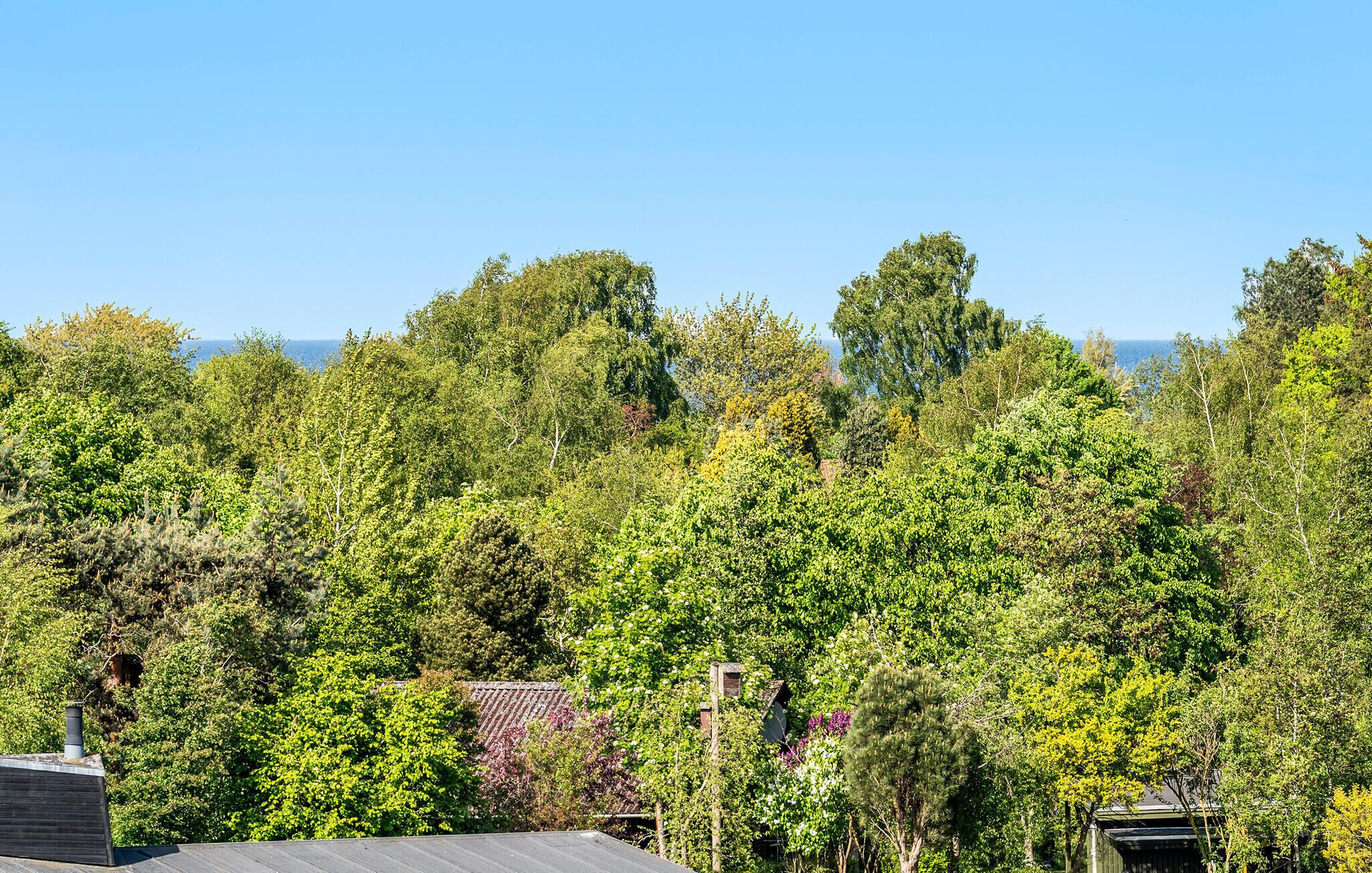 Zona residencial con abundante vegetación y una vista despejada al mar.