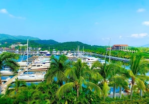 Marina