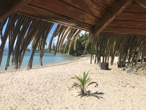A beach with a wooden structure overhead, palm trees, and a small plant in the foreground.