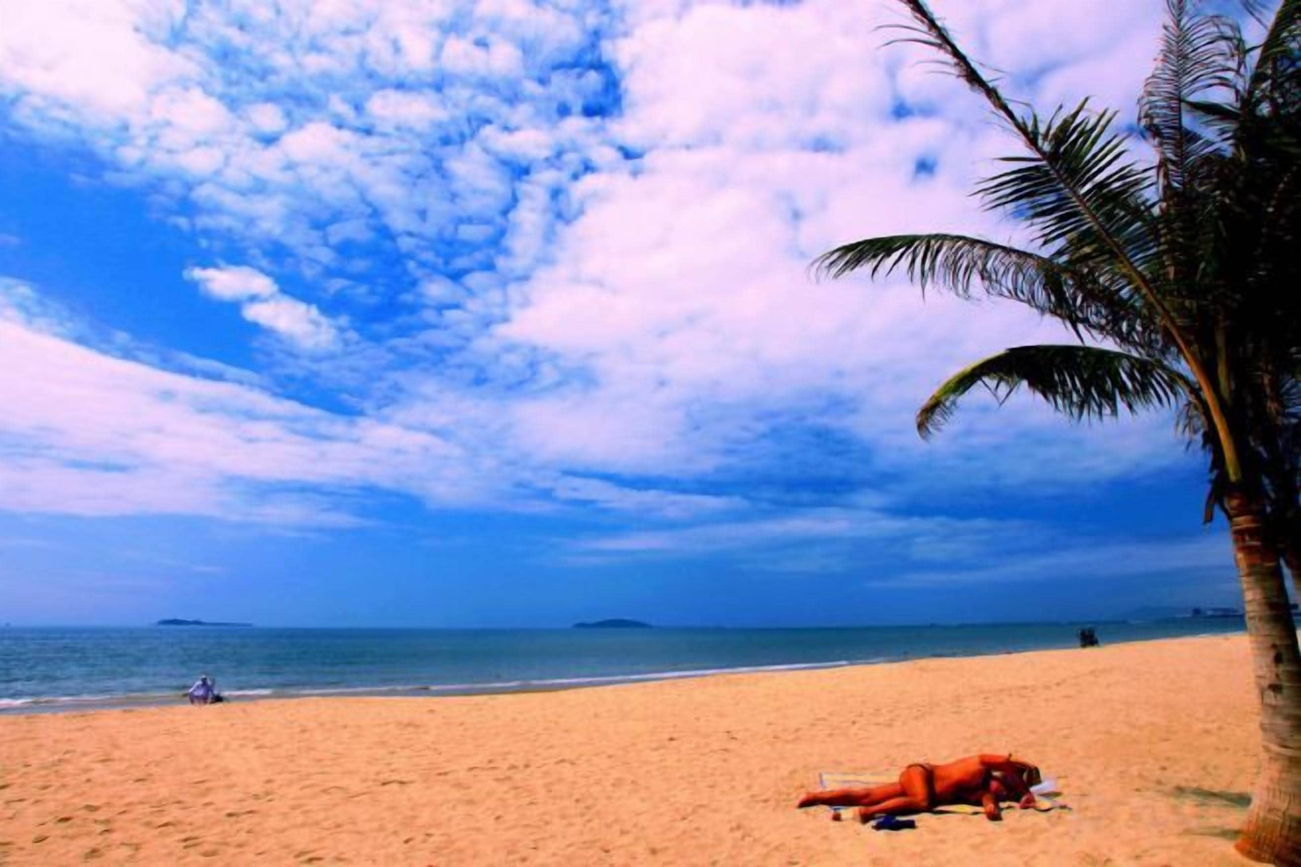 A beach with a person lying on the sand, palm trees, and a clear sky.