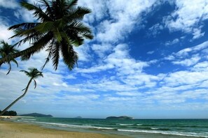 Ein Strand mit Palmen und dem Meer.