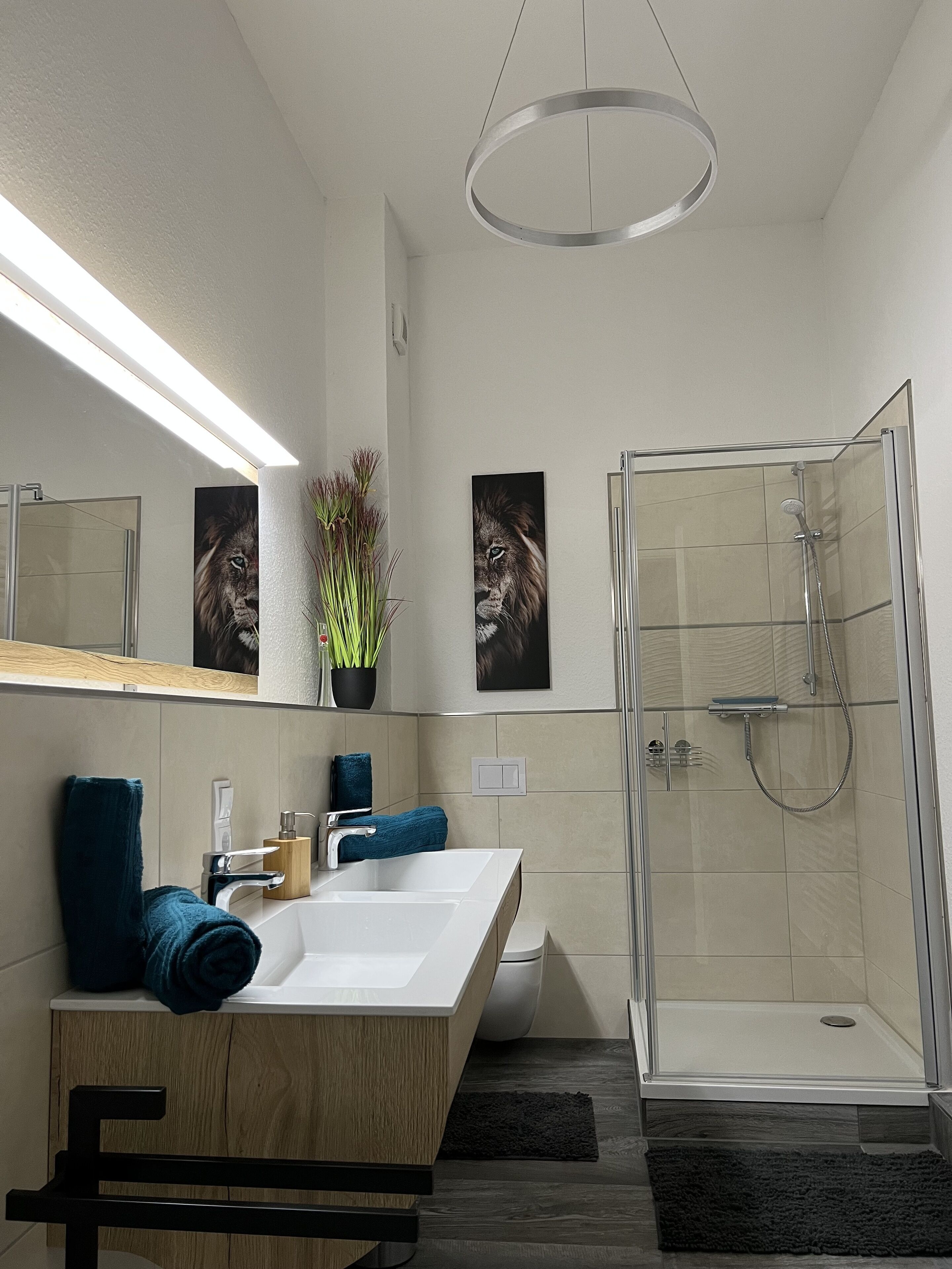 Douche, sèche-cheveux, serviettes fournies, papier toilette