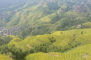 Terraced fields with a village in the valley. - Xiao Bei Lou (Longsheng)