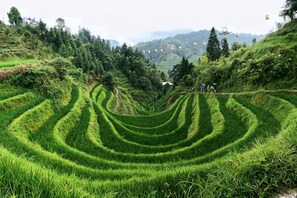 Unclassified image, 4 of 31, button - Xiao Bei Lou (Longsheng)