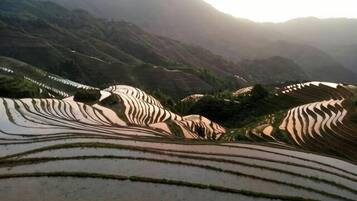 Terraced fields with a mountainous backdrop.
