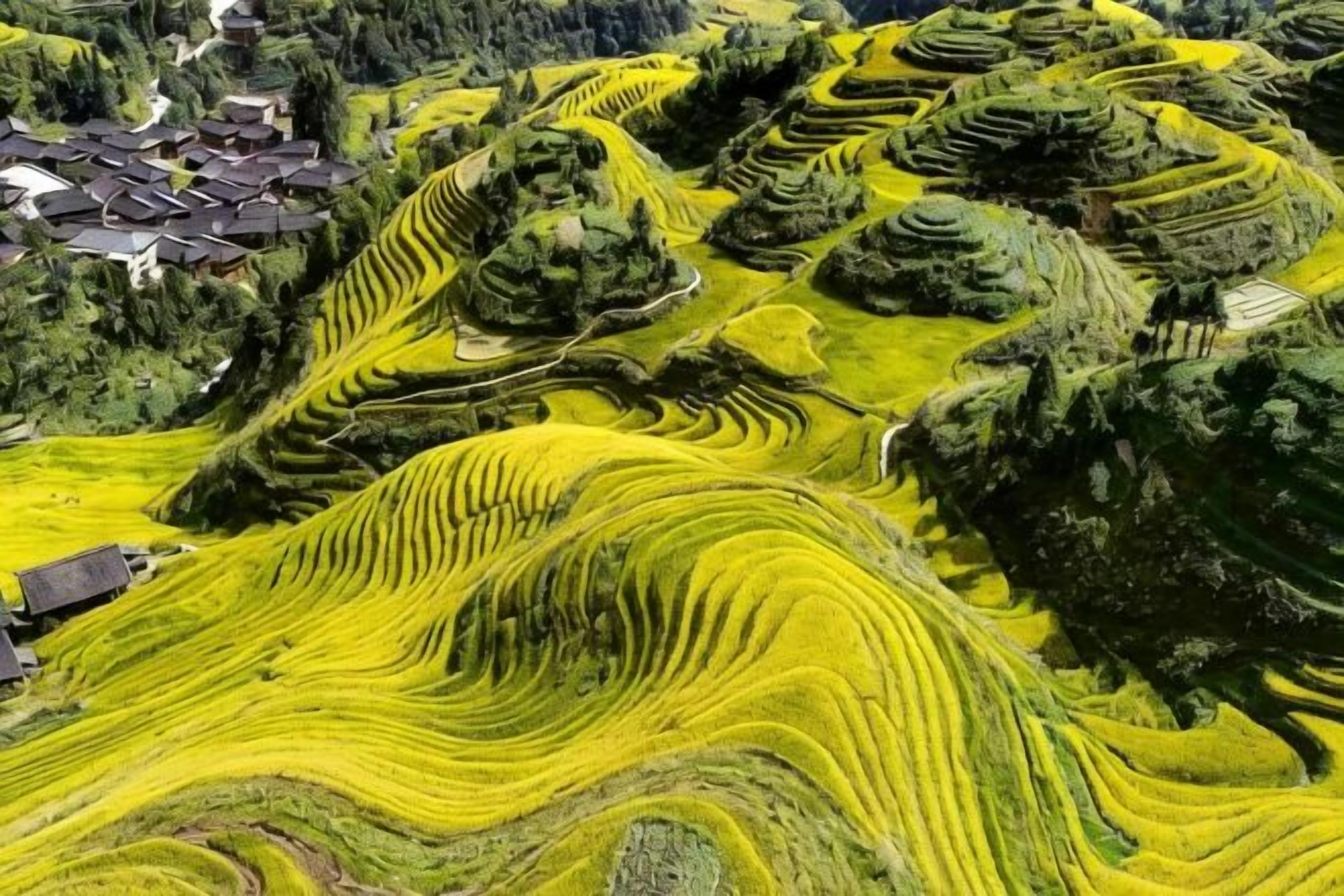 Campos en terrazas con un pueblo al fondo.