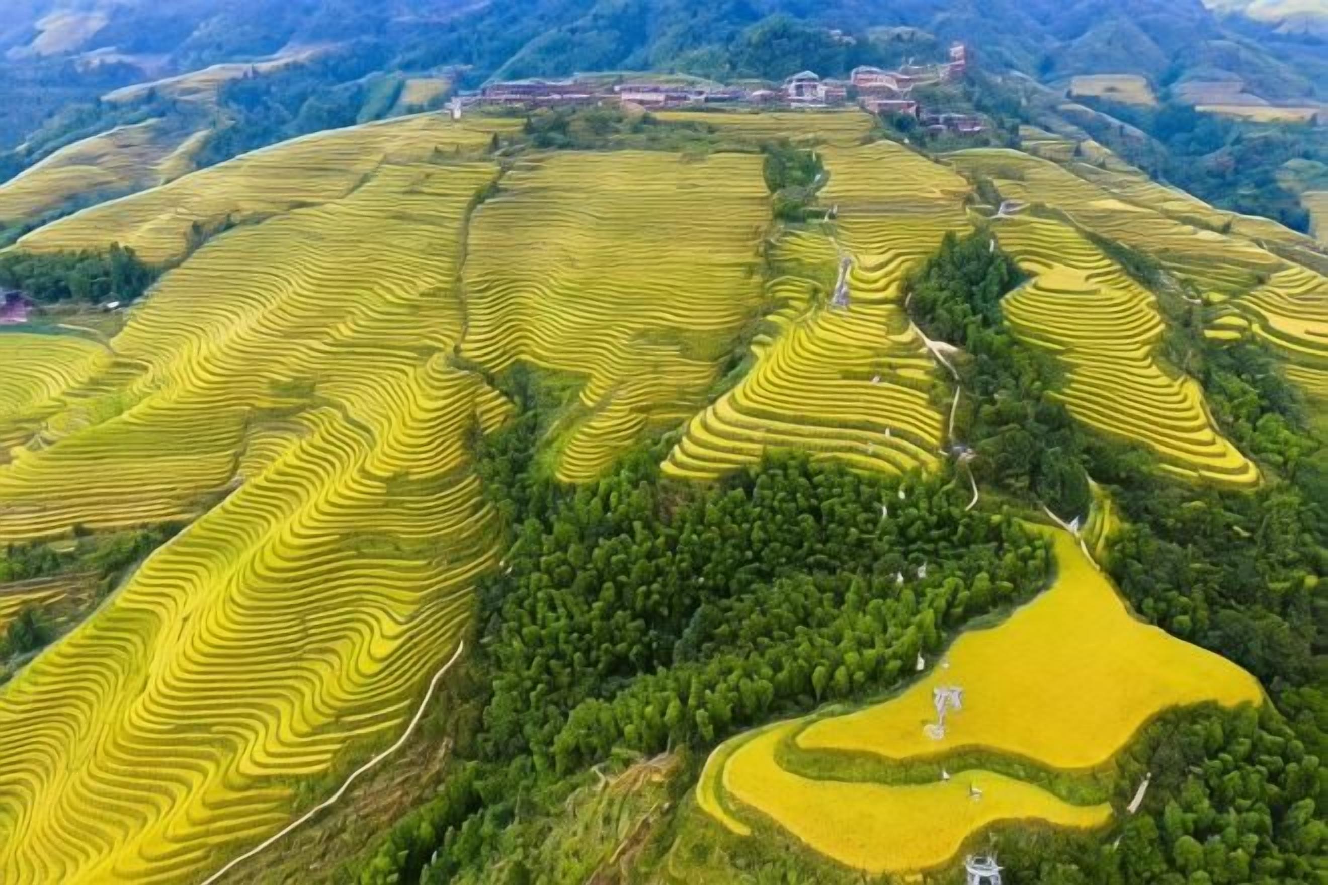 Terraced fields with a winding path.