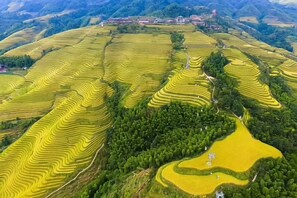 Unclassified image, 5 of 31, button - Xiao Bei Lou (Longsheng)