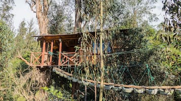 Basic Tree House | 1 bedroom, free WiFi